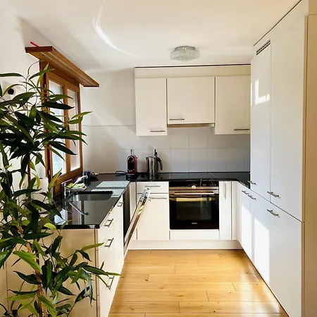 Maisonette 4.5 Zimmer, Naehe Ballenberg 公寓 *