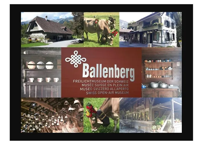 Maisonette 4.5 Zimmer, Naehe Ballenberg *