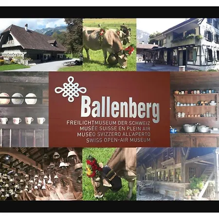 Maisonette 4.5 Zimmer, Naehe Ballenberg *